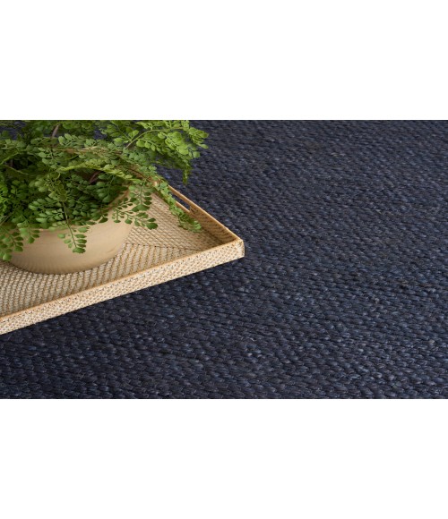 Nourison Natural Jute Navy NJT01 4 ft. X 6 ft. Rectangle Rug