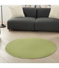 Nourison Essentials Green Area Rug NRE01-Green