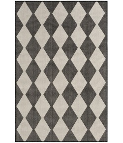 Nourison Positano Black POS04 4 ft. X 6 ft. Rect. Rug