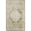 Nourison Astra Machine Washable Ivory Green ASW11 4 ft. X 6 ft. Rectangle Rug
