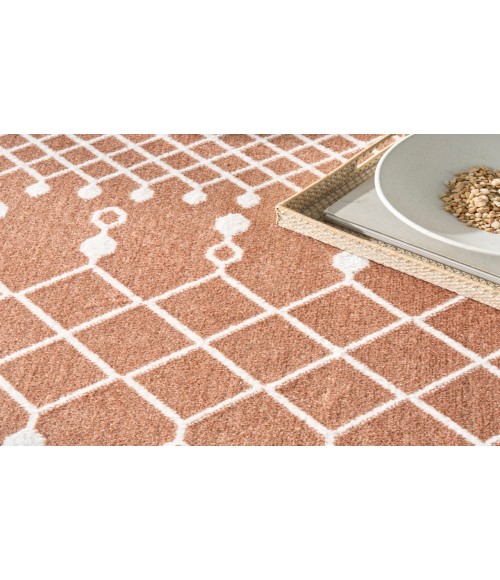 Nourison Astra Machine Washable Copper ASW10 4 ft. X 6 ft. Rectangle Rug