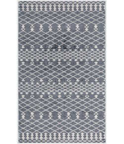 Nourison Astra Machine Washable Denim ASW10 2 ft. X 6 ft. Rectangle Rug