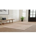 Nourison Astra Machine Washable Taupe ASW10 4 ft. X 6 ft. Rectangle Rug