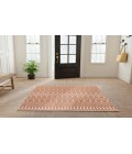 Nourison Astra Machine Washable Copper ASW10 4 ft. X 6 ft. Rectangle Rug