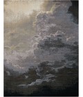 Nourison Twilight Area Rug TWI18 Storm 9'9" x 13'9"
