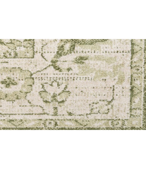 Nourison Astra Machine Washable Ivory Green ASW12 6 ft. 7 in. X 9 ft. Rectangle Rug