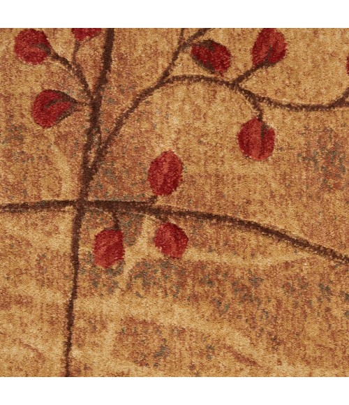 Nourison Somerset Area Rug ST74-Latte