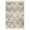 Nourison Oslo Shag Ivory/Grey OSL01 4 ft. X 6 ft. Rect. Rug