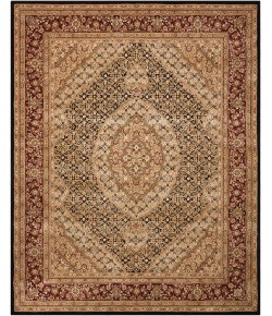 Nourison 2000 - 2240 Black Area Rug 7 ft. 9 in. X 9 ft. 9 in. Rectangle