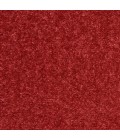 Nourison Nourison Essentials Area Rug NRE01 Brick Red