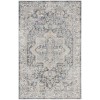 Nourison Astra Washables - Asw12 Grey Blue Area Rug 2 ft. 2 in. X 4 ft. Rectangle