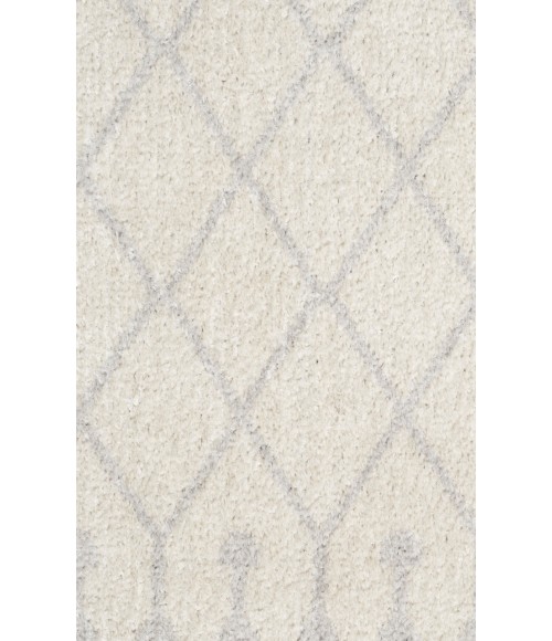 Nourison Astra Machine Washable Ivory ASW10 2 ft. X 6 ft. Rectangle Rug