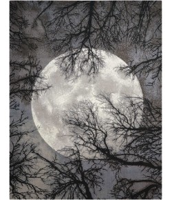 Nourison Twilight - Twi17 Moon Area Rug 12 ft. X 15 ft. Rectangle
