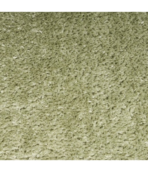 Nourison Pacific Shag Area Rug PCS01 Green
