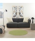 Nourison Essentials Green Area Rug NRE01-Green