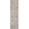 Nourison Royal Terrace 2ft. 2in. x 7ft. 6in. Beige Vintage Indoor Rug