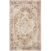 Nourison Astra Machine Washable Rust ASW12 3 ft. 3 in. X 5 ft. Rect. Rug