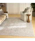 Nourison Shadows Ivory Grey SHW05 6 ft. X 9 ft. Rect. Rug