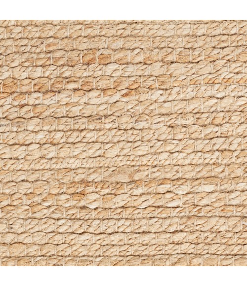 Nourison Natural Jute Area Rug NJT01 Bleached