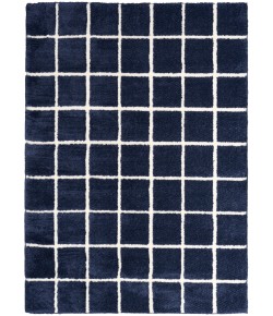 DKNY West End Ave Navy Ivory WTE01 4 ft. X 6 ft. Rect. Rug