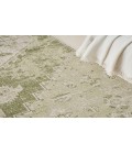 Nourison Astra Machine Washable Ivory Green ASW11 4 ft. X 6 ft. Rectangle Rug