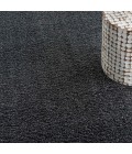 Nourison Shangri-La Area Rug SHI01 Charcoal 8' x 10'