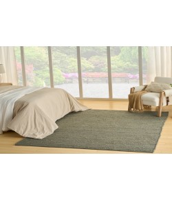 Nourison Natural Jute Sage NJT01 4 ft. X 6 ft. Rectangle Rug