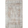 Nourison Astra Machine Washable Silver Taupe ASW16 5 ft. 3 in. X 7 ft. Rectangle Rug