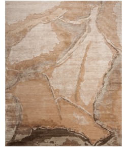 Nourison Silk Shadows Beige Silver SHA24 9 ft. X 12 ft. Rect. Rug