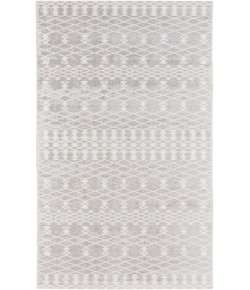 Nourison Astra Machine Washable Grey ASW10 2 ft. X 6 ft. Rectangle Rug
