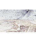Inspire Me! Home Décor Daydream Ivory Multicolor DDR01 3 ft. 11 in. X 5 ft. 11 in. Rectangle Rug
