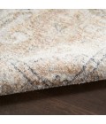 Nourison Astra Machine Washable Area Rug ASW12 Beige