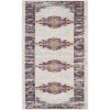 Nourison Passion Ivory Blue PSN03 2 ft. 2 in. X 10 ft. Rectangle Rug