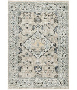 Nourison Home Washable Decor Taupe Blue WSD12 9 ft. X 12 ft. Rectangle Rug