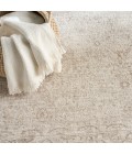 Nourison Shadows Ivory Grey SHW04 6 ft. X 9 ft. Rect. Rug