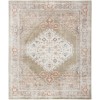 Nourison Astra Washables - Asw11 Sage Multicolor Area Rug 9 ft. X 12 ft. Rectangle