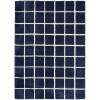 DKNY West End Ave Navy Ivory WTE01 6 ft. X 9 ft. Rect. Rug