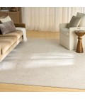 Nourison Shadows Ivory Grey SHW03 6 ft. X 9 ft. Rect. Rug