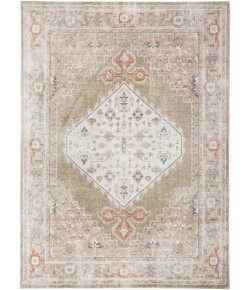 Nourison Astra Washables - Asw11 Sage Multicolor Area Rug 5 ft. 3 in. X 7 ft. Rectangle