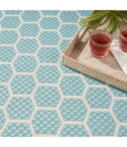 Nourison Reversible Indoor Outdoor Aqua RVB01 5 ft. X 7 ft. Rect. Rug