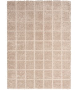DKNY West End Ave Beige WTE01 4 ft. X 6 ft. Rect. Rug