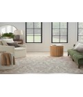 Nourison Jubilant Ivory Beige JUB09 5 ft. 3 in. X 7 ft. 3 in. Rectangle Rug