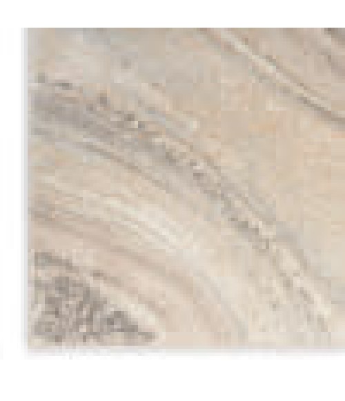 Inspire Me! Home Décor Brushstrokes Area Rug BSK03 Cream Grey