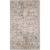 Nourison Astra Machine Washable Silver Taupe ASW16 2 ft. X 6 ft. Rectangle Rug