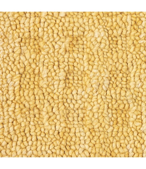 Nourison Marana Gold MNN01 8 ft. Rect. Rug