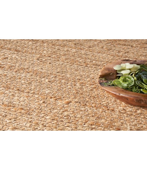 Nourison Natural Jute Natural NJT01 5 ft. Square Rug