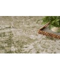 Nourison Astra Machine Washable Ivory Green ASW12 7 ft. 10 in. X 10 ft. Rectangle Rug