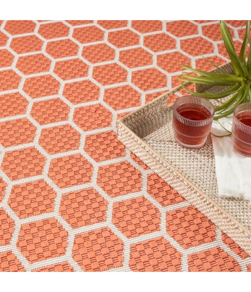 Nourison Reversible Indoor Outdoor Coral RVB01 5 ft. X 7 ft. Rect. Rug