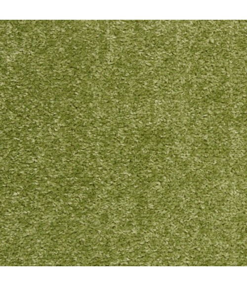 Nourison Essentials Area Rug Nourison Nourison Essentials Green Area Rug NRE01 Green 10' x 14'