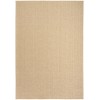 Nourison Tulum Taupe TLM02 4 ft. X 6 ft. Rect. Rug